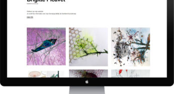 Website Kunstenares Brigitte Picavet