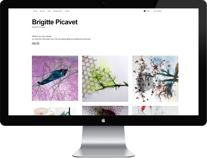 webdesign Brigitte Picavet