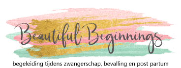 Beautiful-Beginnings logo