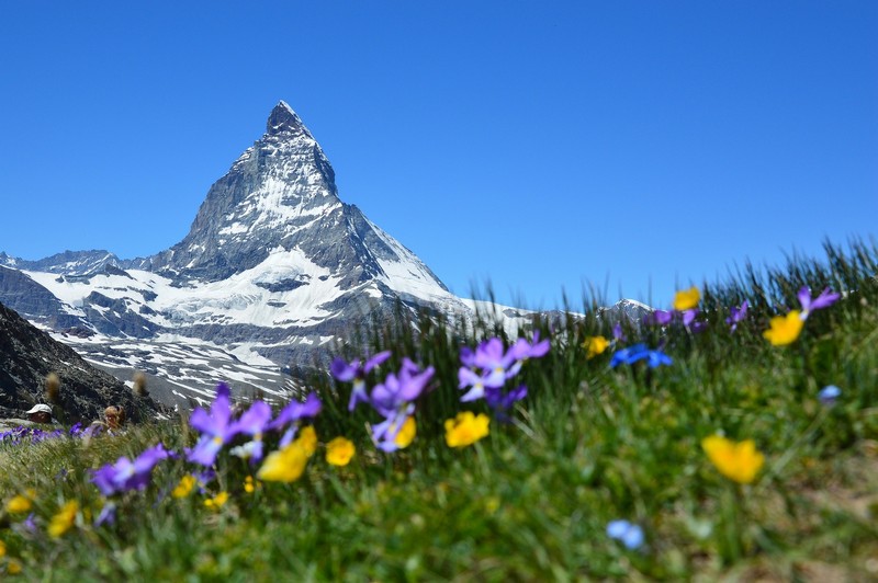 Foto bergtop Zwitserland